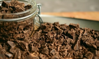 Chocolat, toxicité pour animaux