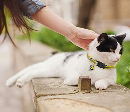 Collier pour chat réfléchissant personnalisé, idéal pour chaton ou tout autre animal de compagnie, avec sécurité anti-étranglement et identifiant top4