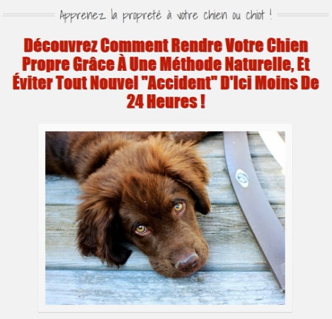 Ebook pour dresser son chiot ou chien APPRENDRE LA PROPRETÉ top 4