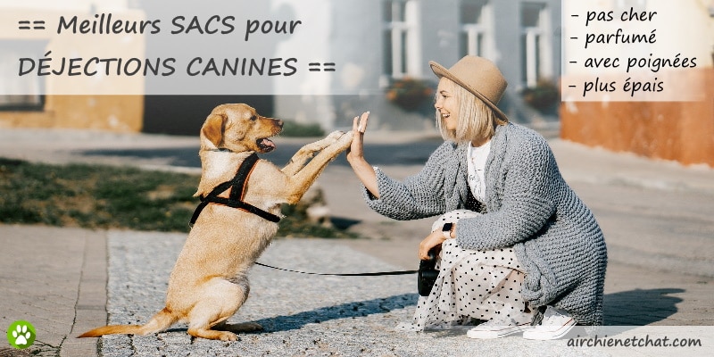 Les 4 Meilleurs Sacs Déjections Canines 2021 (bio, écologique 