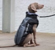 Vêtement chien avec harnais noir, bleu, ou rouge, avec sangles de sécurité animal de moyenne à grande taille, gilet chaud coupe-vent pour hiver